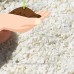 Miami Beach Pebbles, Inc Zen Gravel 1/16" - 1 lb, Color Choices for Miniature Garden, Fairy Garden   